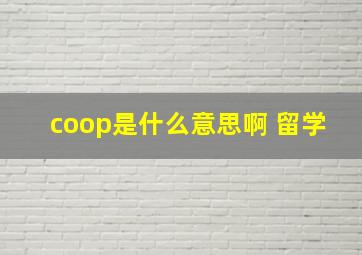 coop是什么意思啊 留学